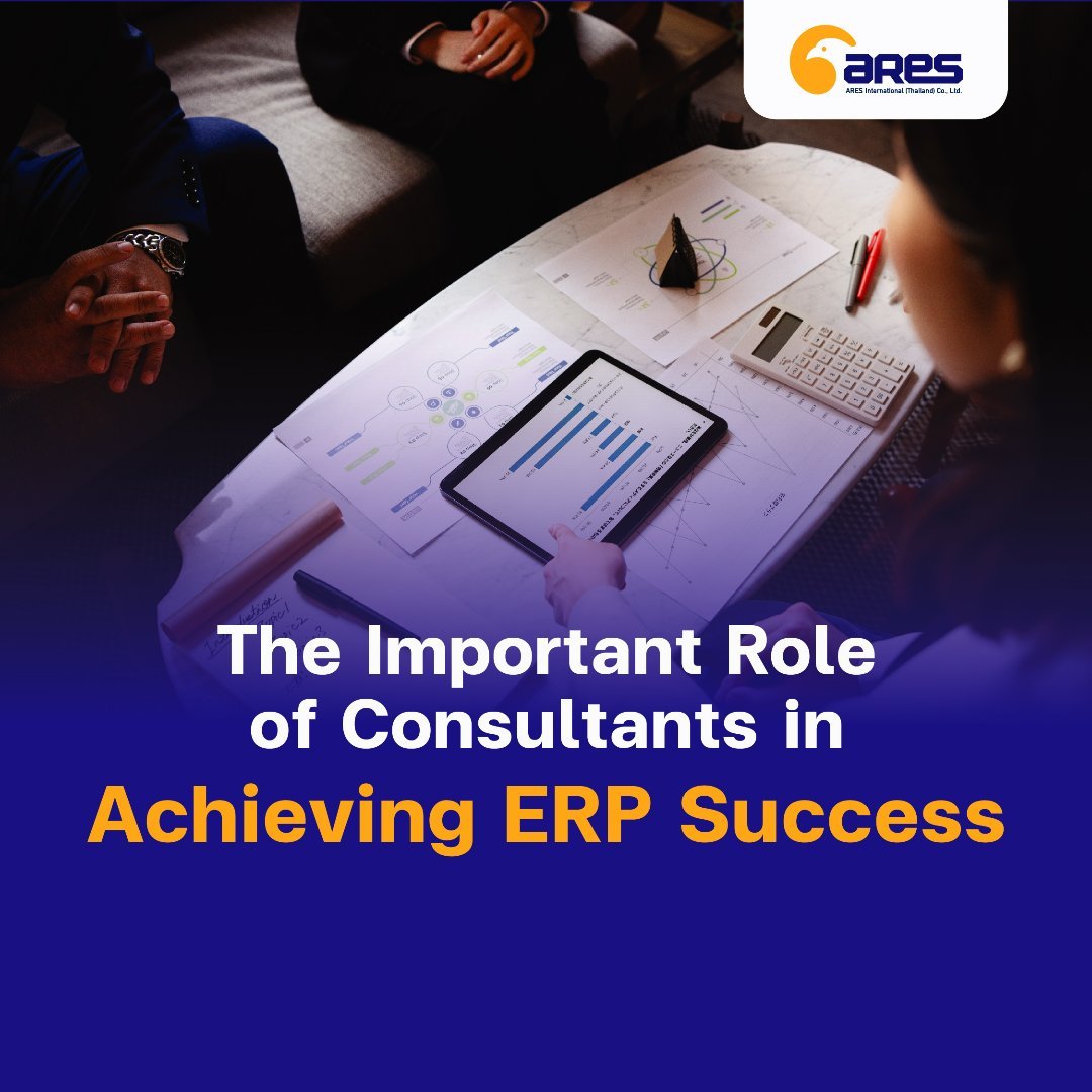 The Important Role of Consultants in Achieving ERP Success